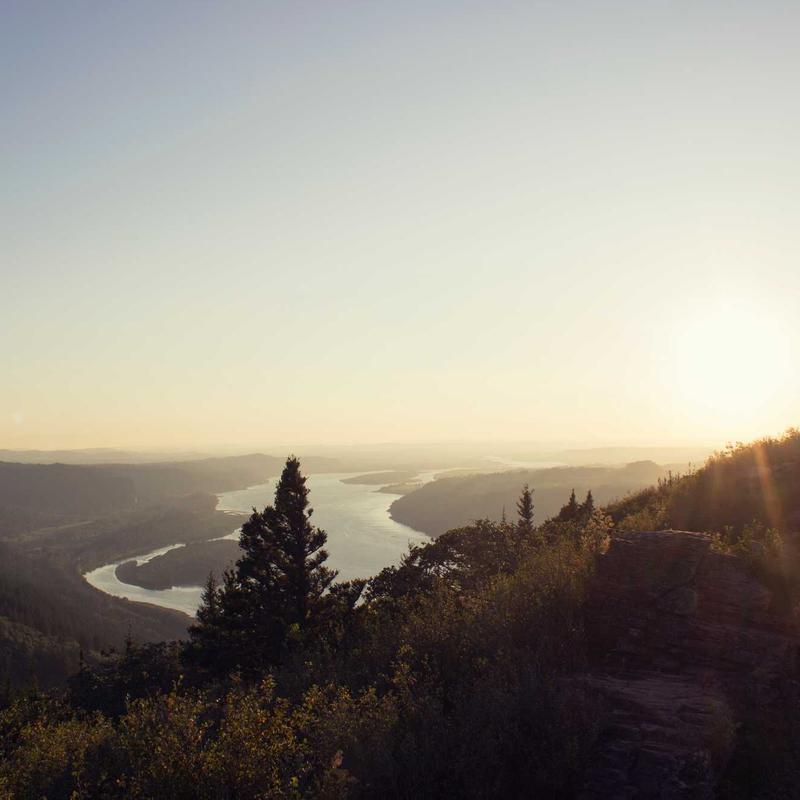Шкатулка резная